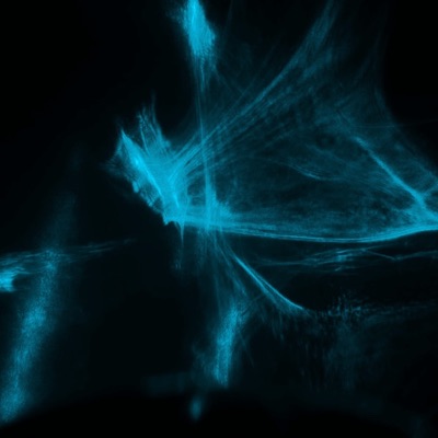 Chimera - Single