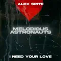 I Need Your Love