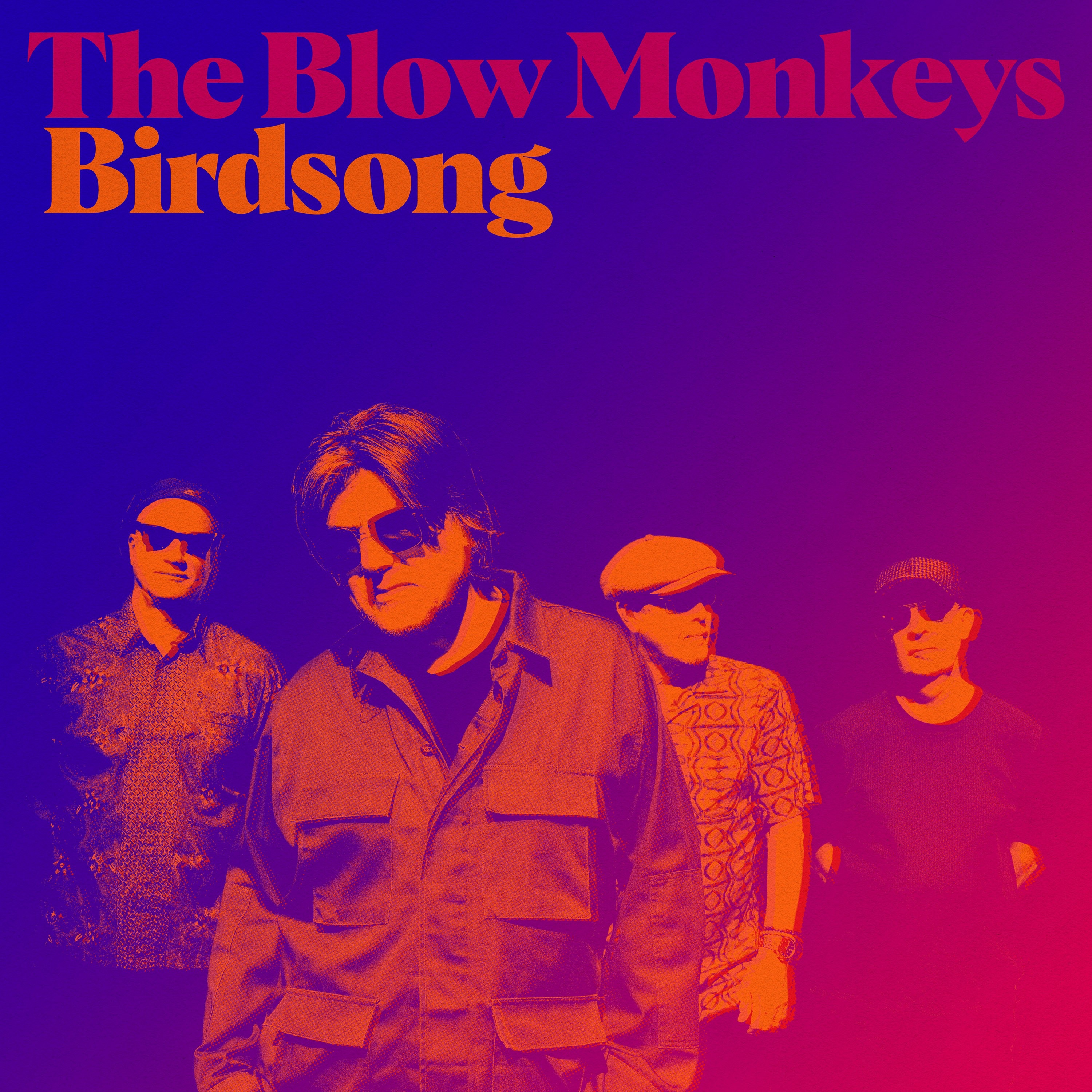 The Blow Monkeys - Birdsong