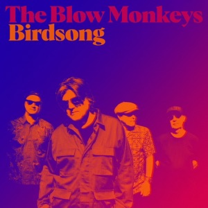 Birdsong - Single
