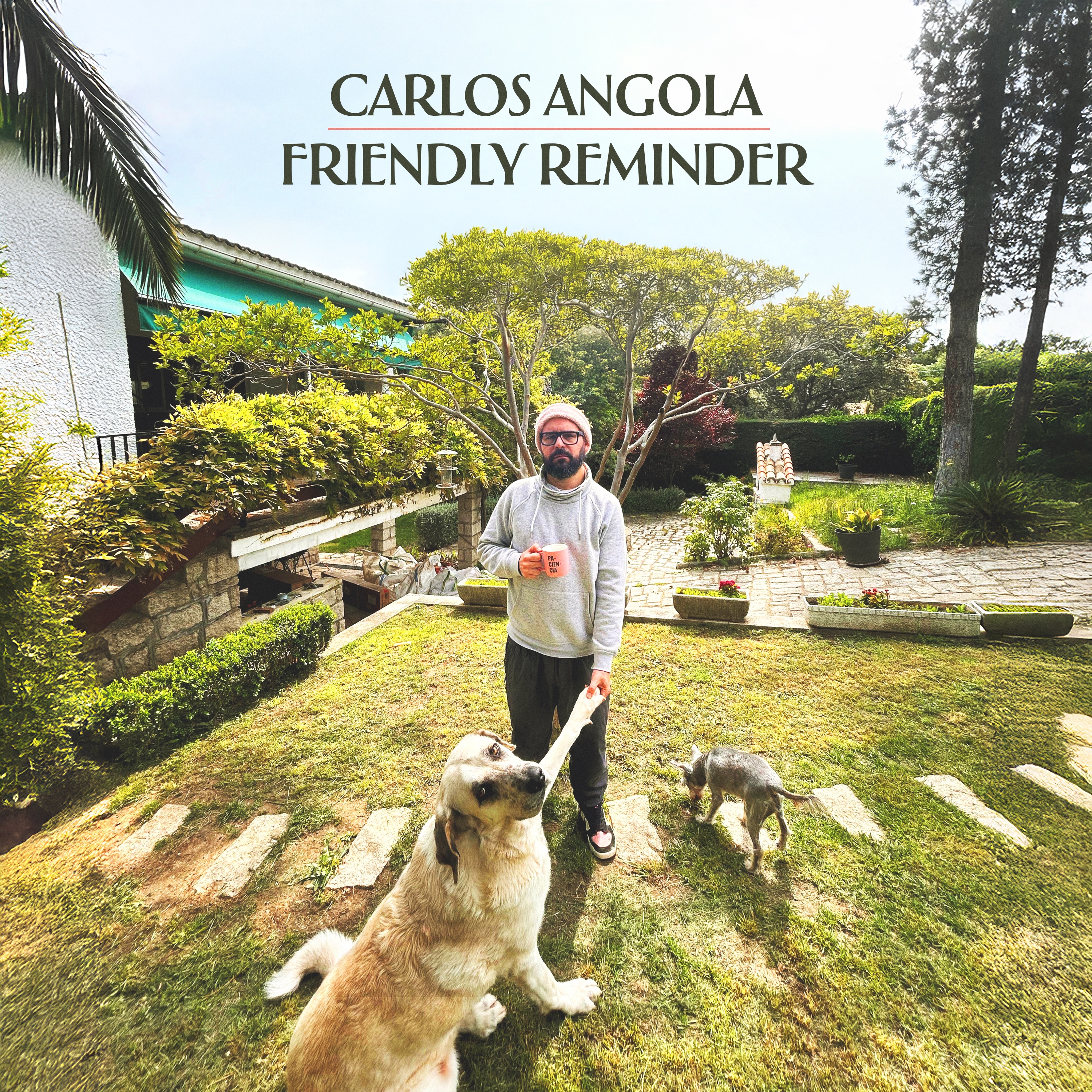 Friendly Reminder - Single