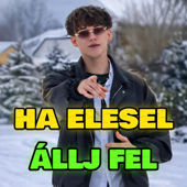 Ha elesel, állj fel!