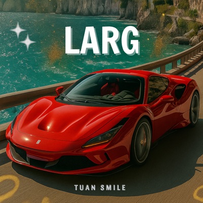 Tuấn Smile - LARG