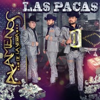 Los Alameños De La Sierra - Perfecta