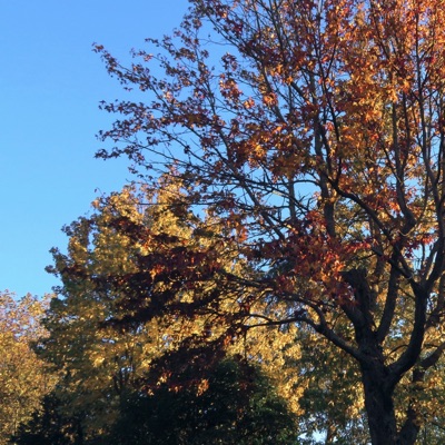 Atrás do Vento - Single