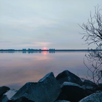 Bass in the Face - Single - Ante Happonezzi