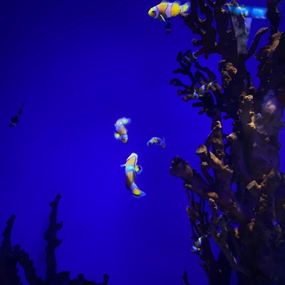 WannHörtErAuf - Single