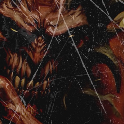 Taste of Malice - Single