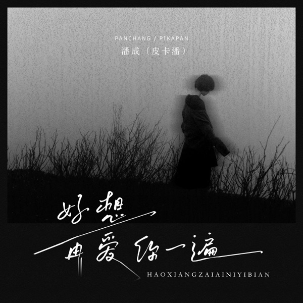好想再爱你一遍 (回答我DJ版) - Single