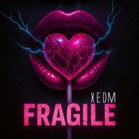 Fragile - Single - XEDM