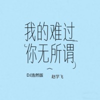 我的难过你无所谓 - Single - 赵学飞