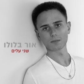 שני עלים אור בלולו