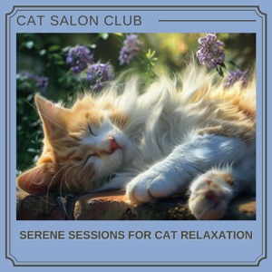 Serene Sessions for Cat Relaxation