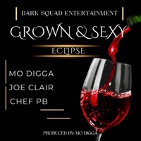 Grown and Sexy (feat. Mo Digga, Joe Clair & Chef PB) [Radio Edit] - Single - Eclipse