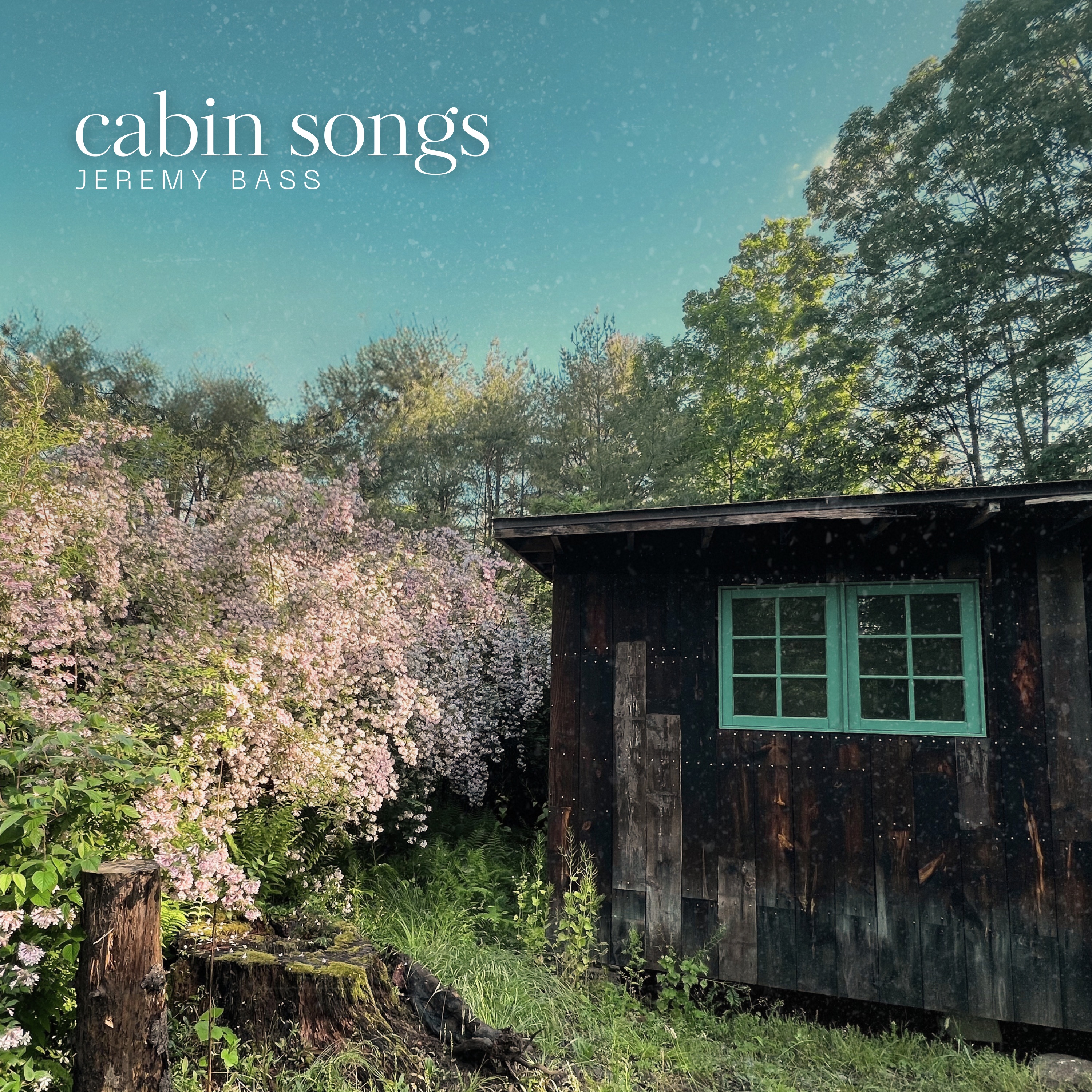 Cabin Songs