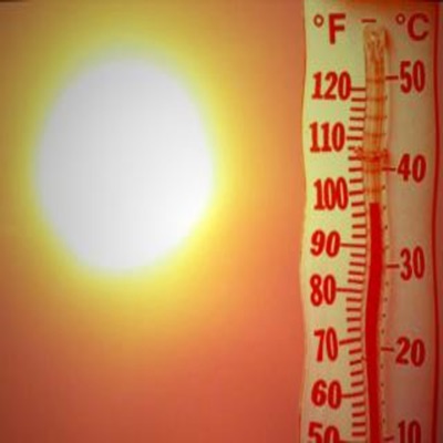 Franchise Distribution Company - Hot Out
