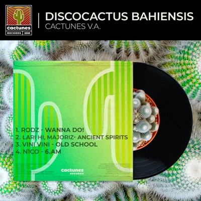 VA Discocactus Bahiensis 2024 - EP