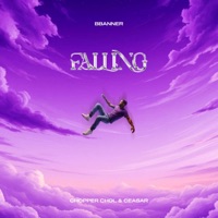 Falling (feat. Chopper Chol & Ceasar) - Single - Bbanner