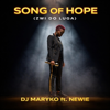 Song of Hope (Zwi do luga) (feat. Newie) - DJ Maryko