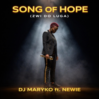 Song of Hope (Zwi do luga) (feat. Newie) - DJ Maryko Cover Art