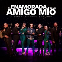 La Enamorada De Un Amigo Mío