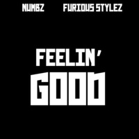 Feelin' Good - Single - Numbz & Furious Stylez