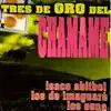 Los De Imaguare - Soy el Chámame