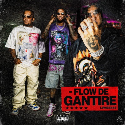 FLOW DE GANTIRE - Single