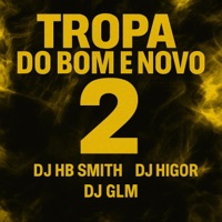 TROPA DO BOM E NOVO 2 (feat. Dj Hb Smith, DJ Glm & MC WB) - Single - DJ HIGOR