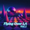 Flying Over LA, Vol. 1