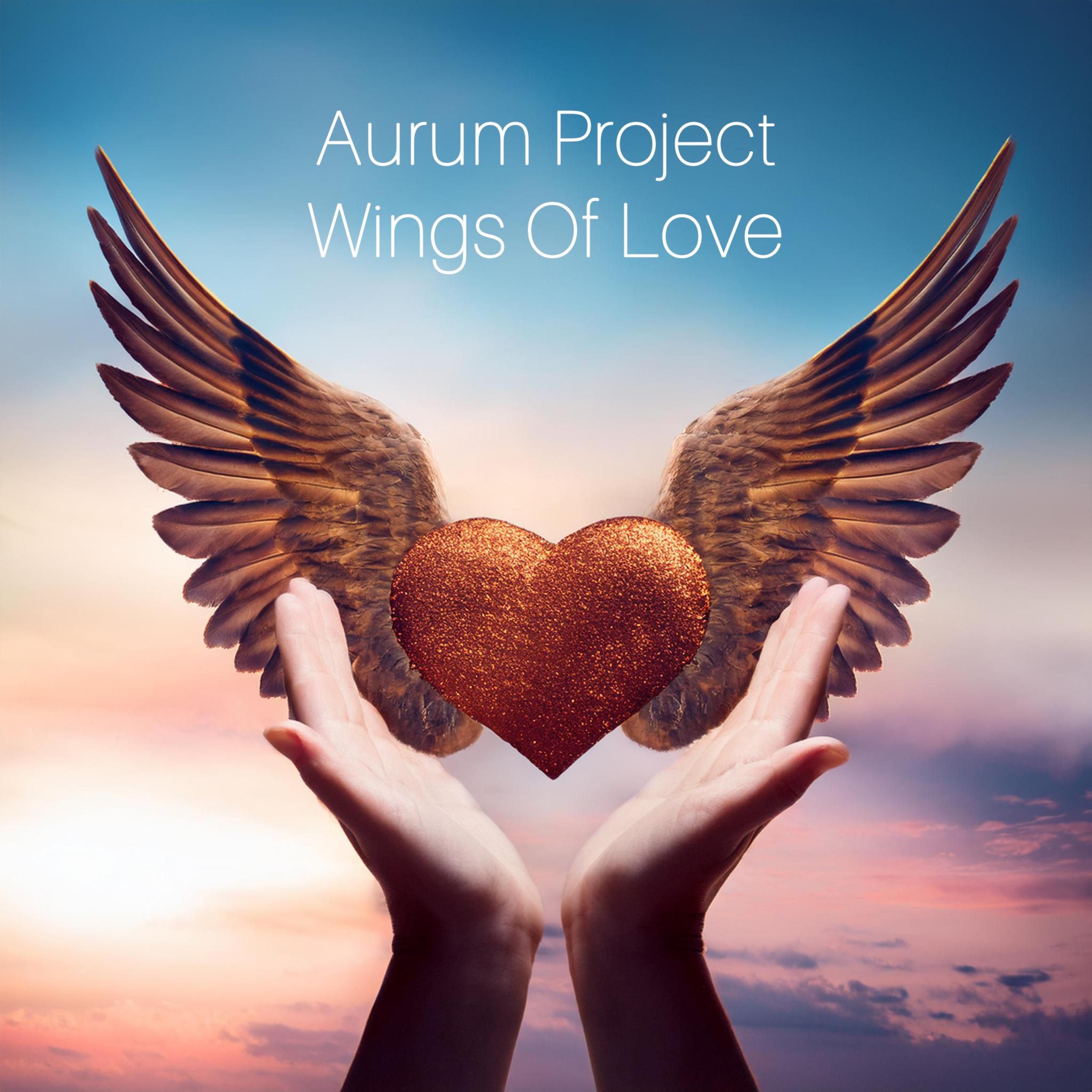 Wings Of Love - Single