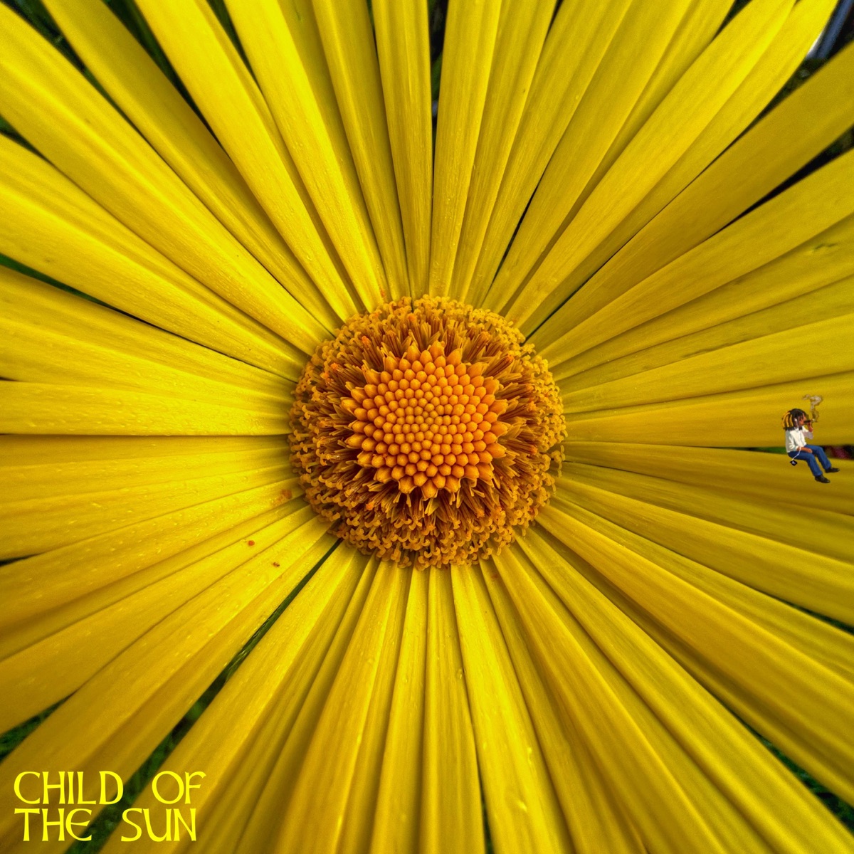 CHILD OF THE SUN cover art