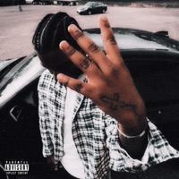 Mind Elevation - Single - 24 LEEK