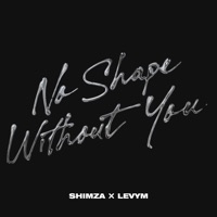 Shimza & LevyM - No Shape Without You