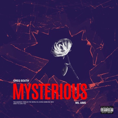 Mysterious (feat. Ms. Aims) - Single