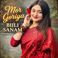 Mor Goriya Bijli Sanam - Single - Pankaj Roy