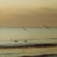 Birds - EP - ScOnTheTrack