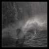 Her - The American Dawn