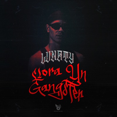 Llora un Gangster - Single