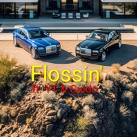 Flossin' (feat. YT & Guido) - Single - VincentS