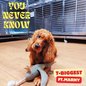 YOU NEVER KNOW (feat. Marny)