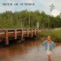 Motif Of Summer