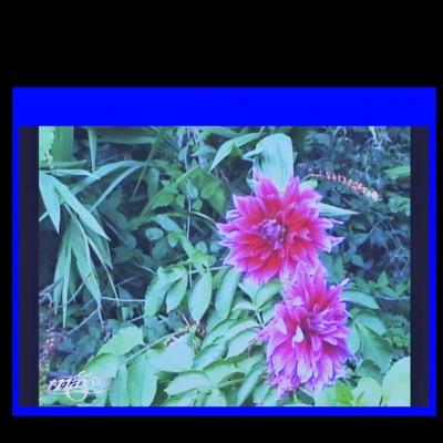 faint3d,d0ctorz - Single