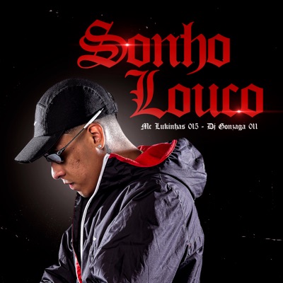 Sonho de Louco (feat. dj gonzaga 011) - Single