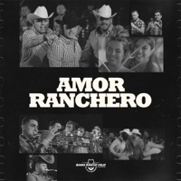 Amor Ranchero - Single - Banda Rancho Viejo de Julio Aramburo la Bandononona