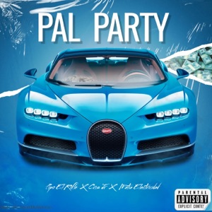 Pal Party (feat. Matia Electricidad)