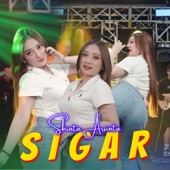 Sigar artwork