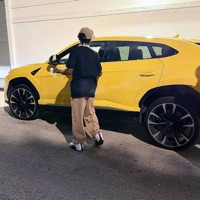 Fried Chicken - Single - Haitian Juice