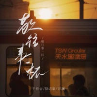 敬往事一杯 (国粤合唱版) - Single - 王佳音, 励志豪 & Lanyi Yang