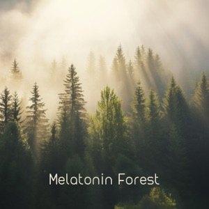 Melatonin Forest: State of Deep Relaxation and Restful Slumber